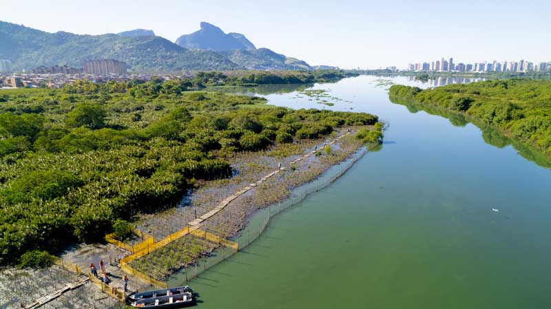 Os serviços de saneamento básico são essenciais para a preservação do meio ambiente porque atuam diretamente na disponibilidade e na qualidade dos recursos hídricos.